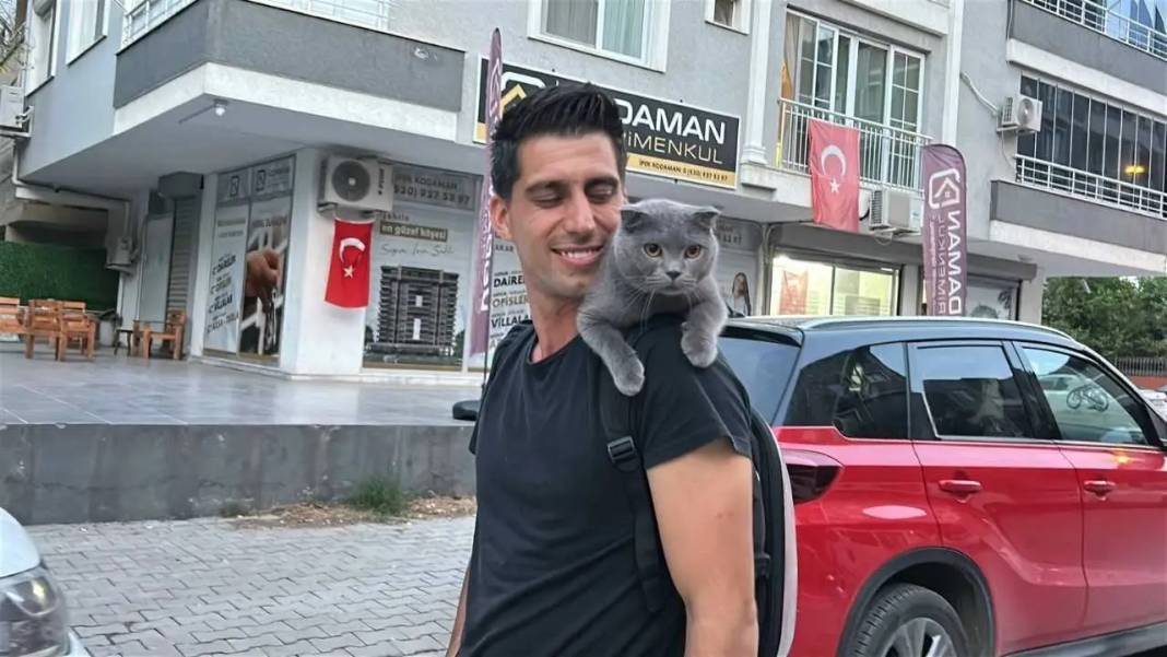 Hatay’da Omuzda Şehri Turlayan Kedi Kentin Maskotu Oldu! 1